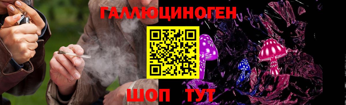 Псилоцибиновые грибы мицелий Моздок